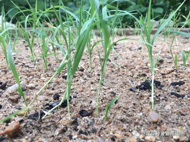 苏州pe波纹管 第202页