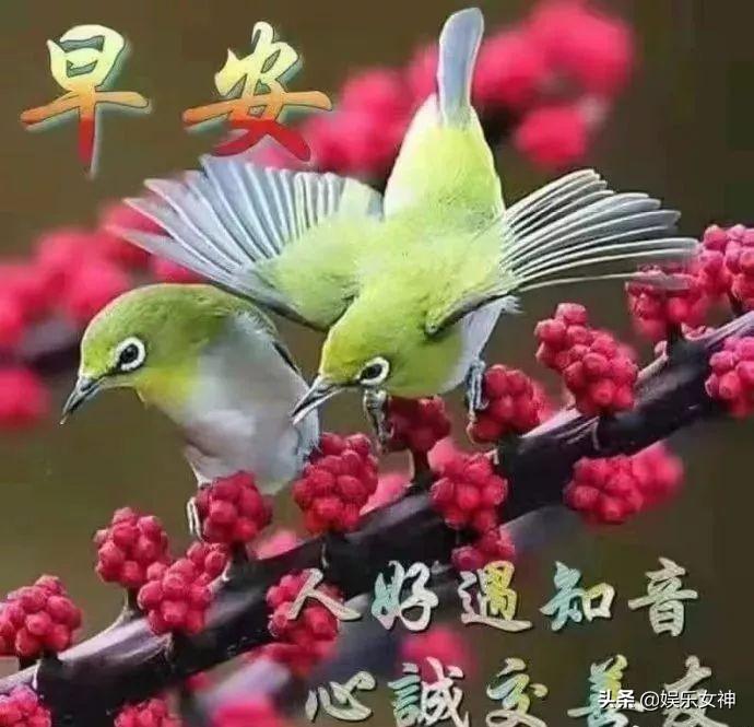 早安问候语最新，小巷深处的独特味道
